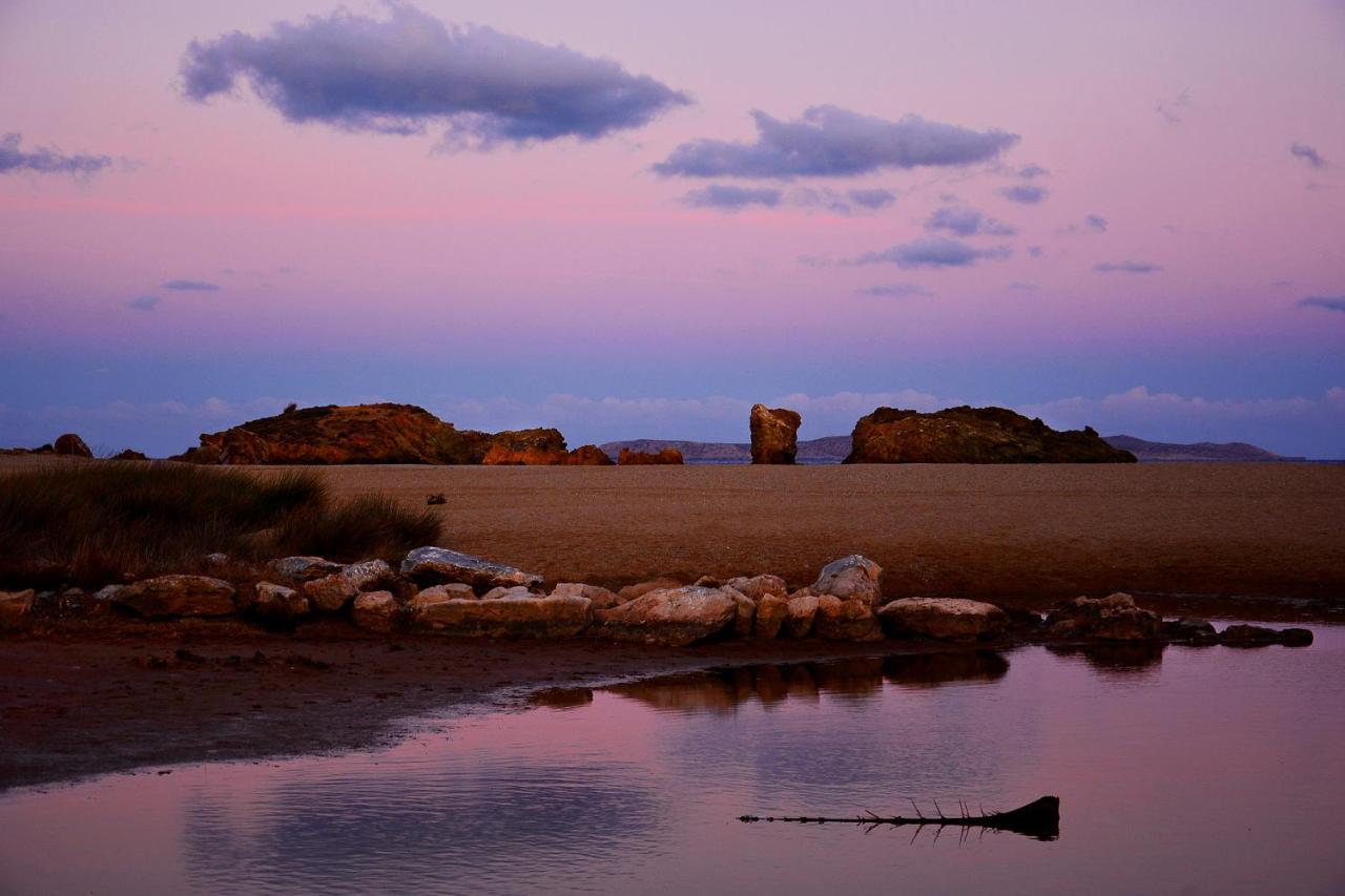 Olive Coast Suites Palekastro Exteriér fotografie