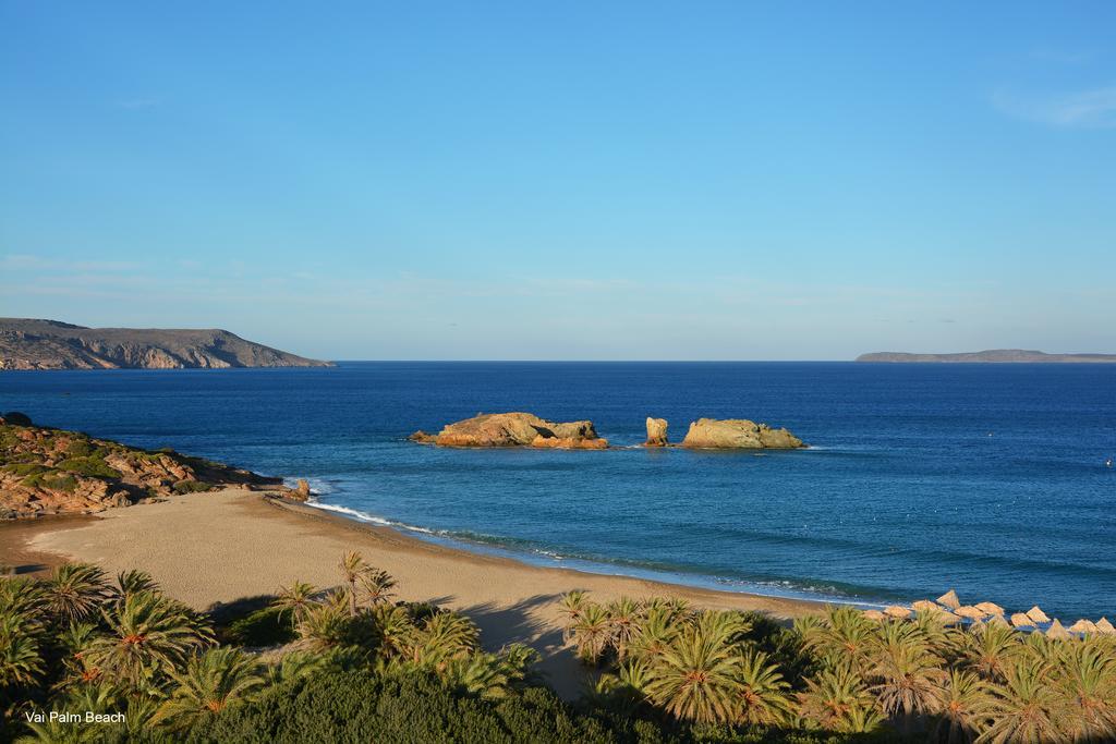 Olive Coast Suites Palekastro Exteriér fotografie
