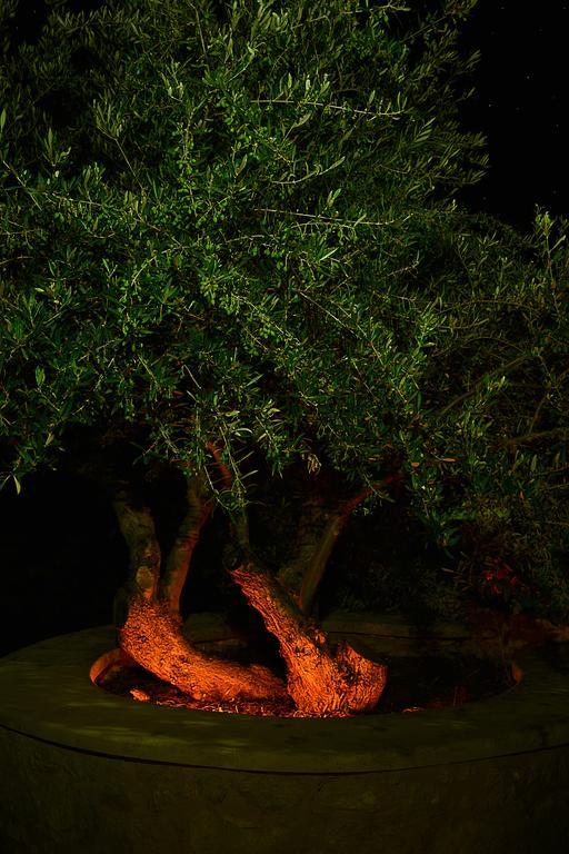 Olive Coast Suites Palekastro Exteriér fotografie