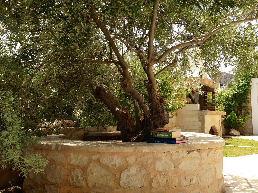Olive Coast Suites Palekastro Exteriér fotografie