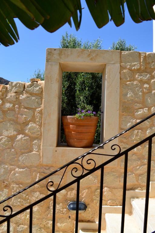 Olive Coast Suites Palekastro Exteriér fotografie